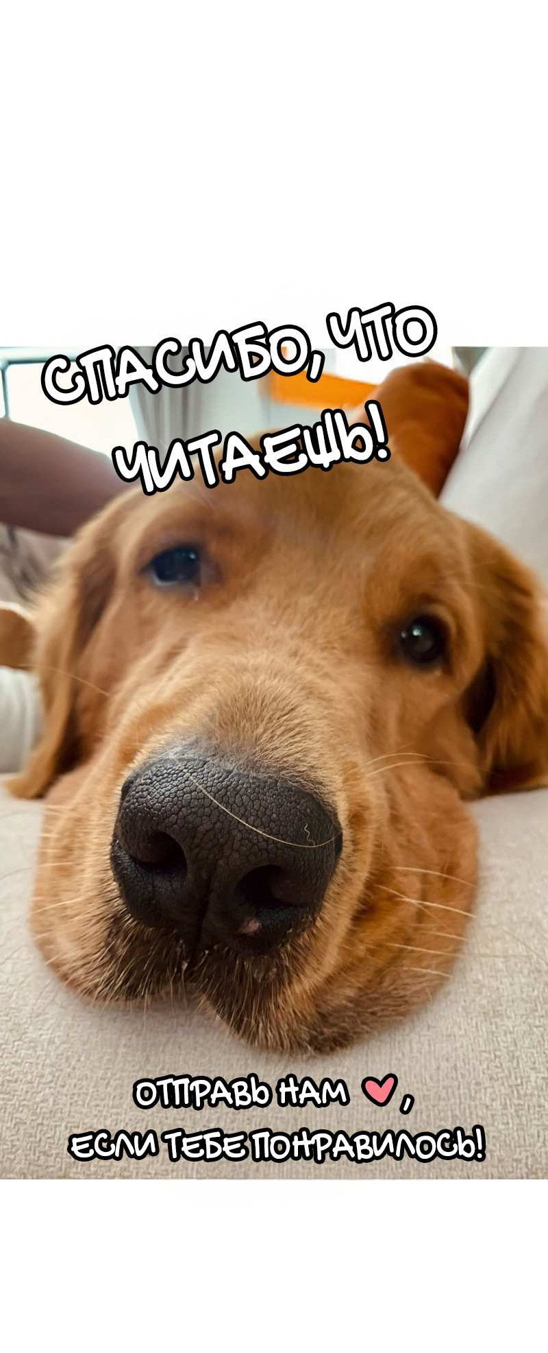 Манга Золотой час (вебтун) - Глава 54 Страница 51