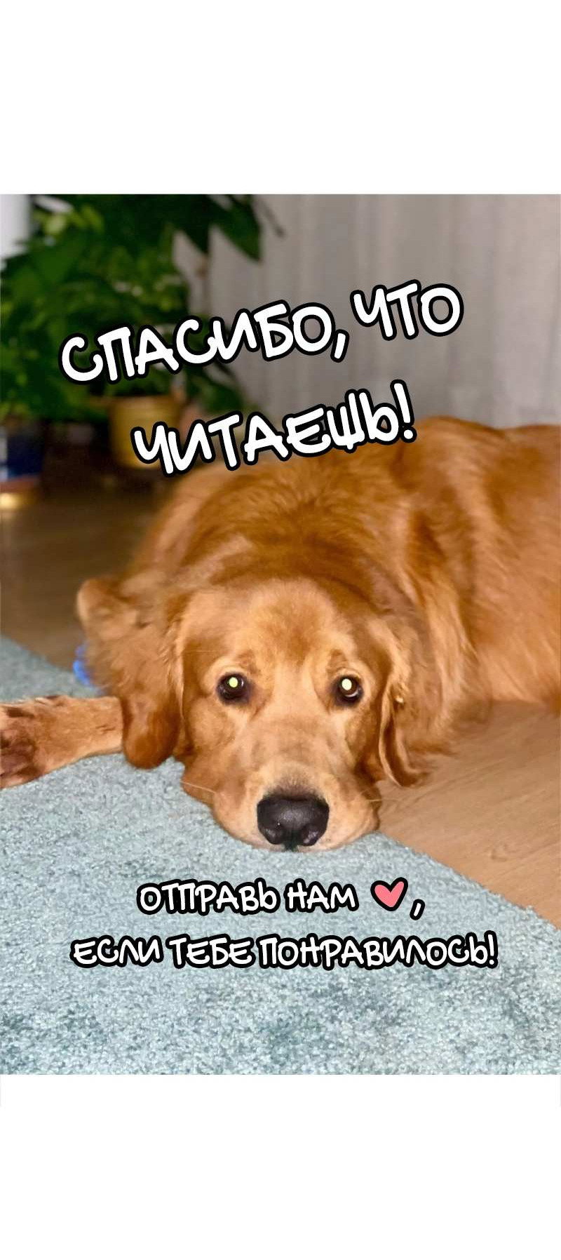 Манга Золотой час (вебтун) - Глава 55 Страница 59