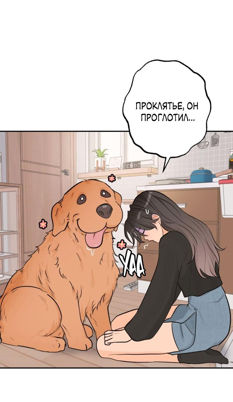 Манга Золотой час (вебтун) - Глава 37 Страница 54