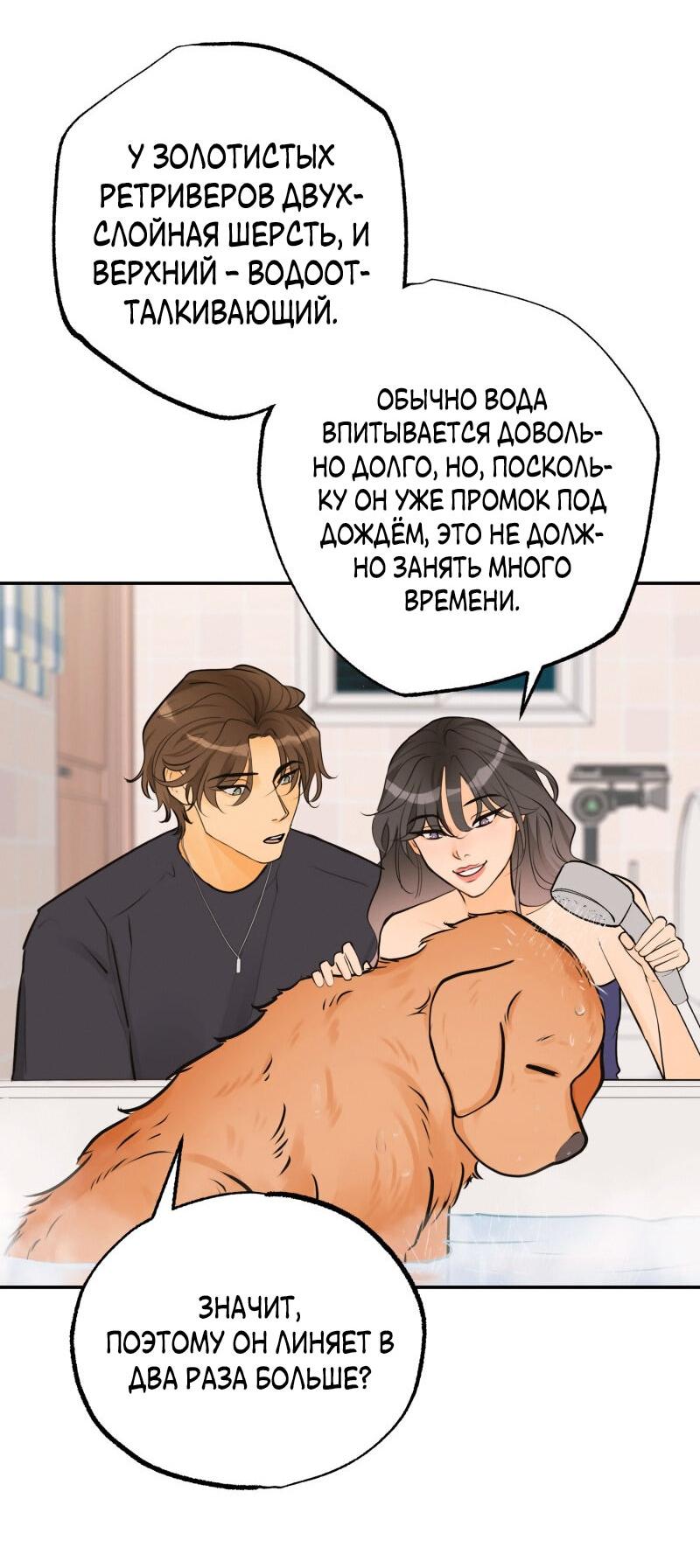 Манга Золотой час (вебтун) - Глава 41 Страница 17