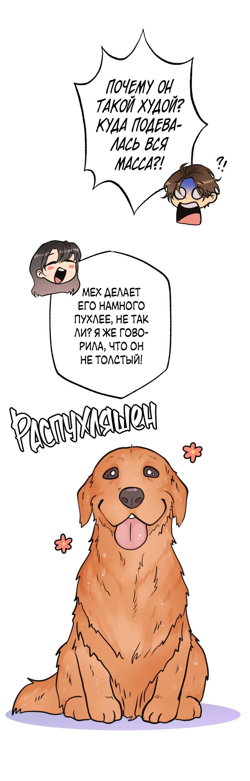 Манга Золотой час (вебтун) - Глава 41 Страница 22