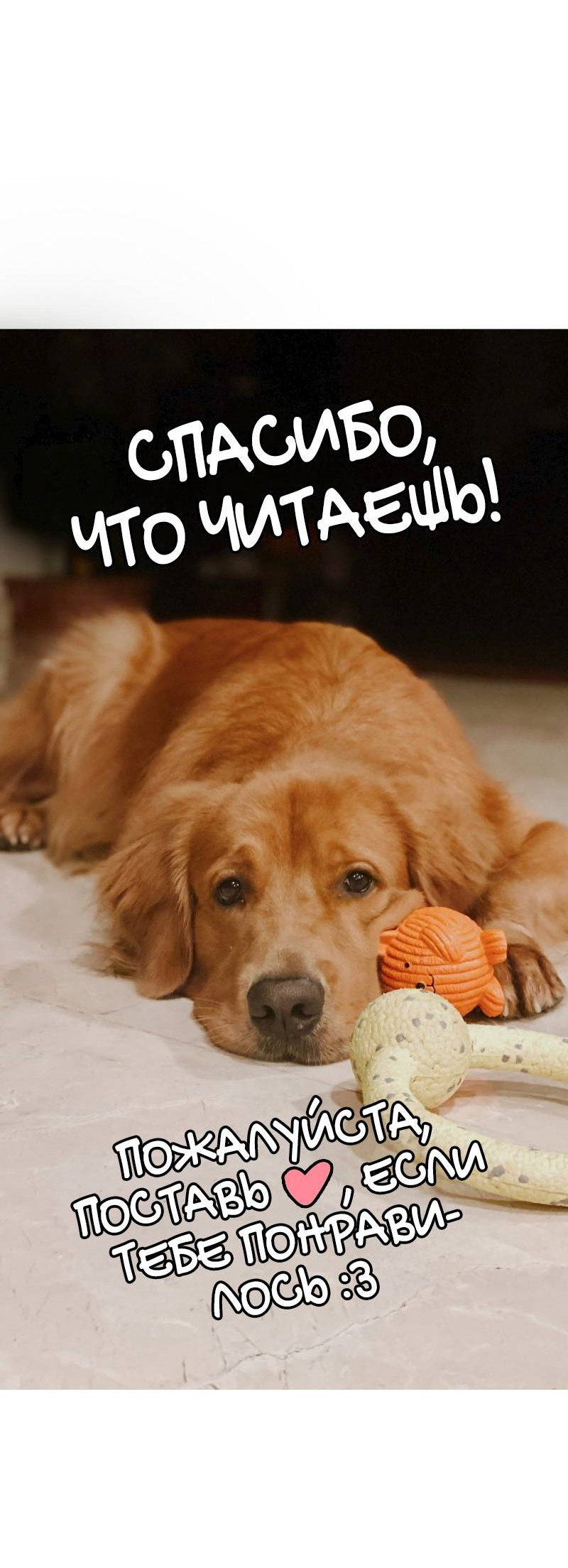 Манга Золотой час (вебтун) - Глава 42 Страница 51