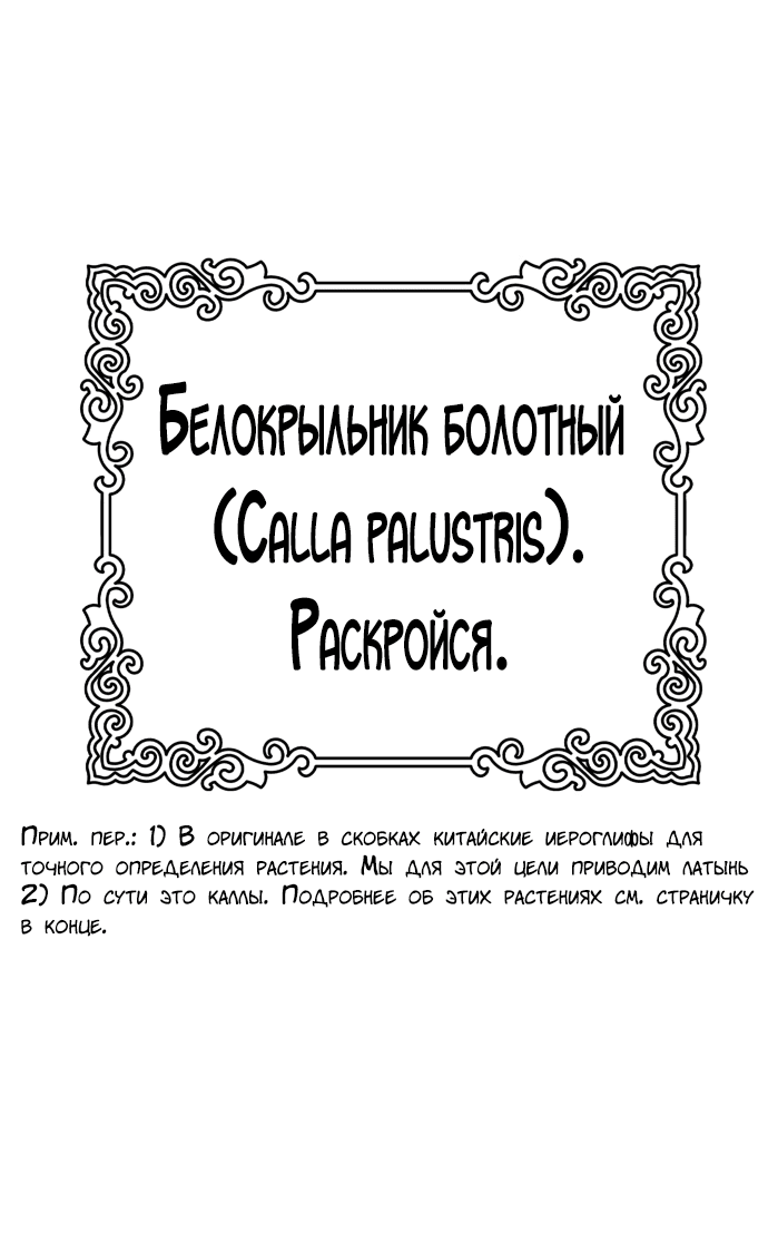 Манга Башня Бога - Глава 182 Страница 50