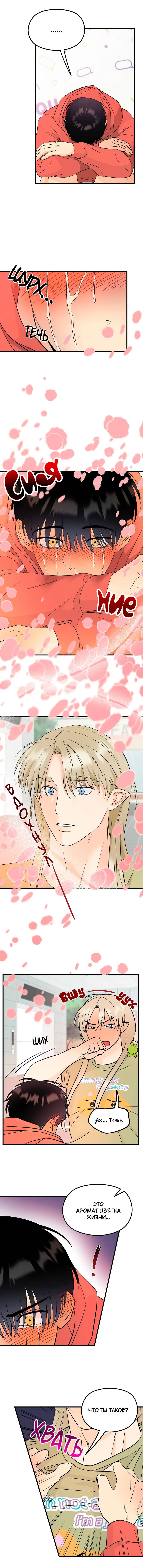 Манга Фея - Глава 4 Страница 10