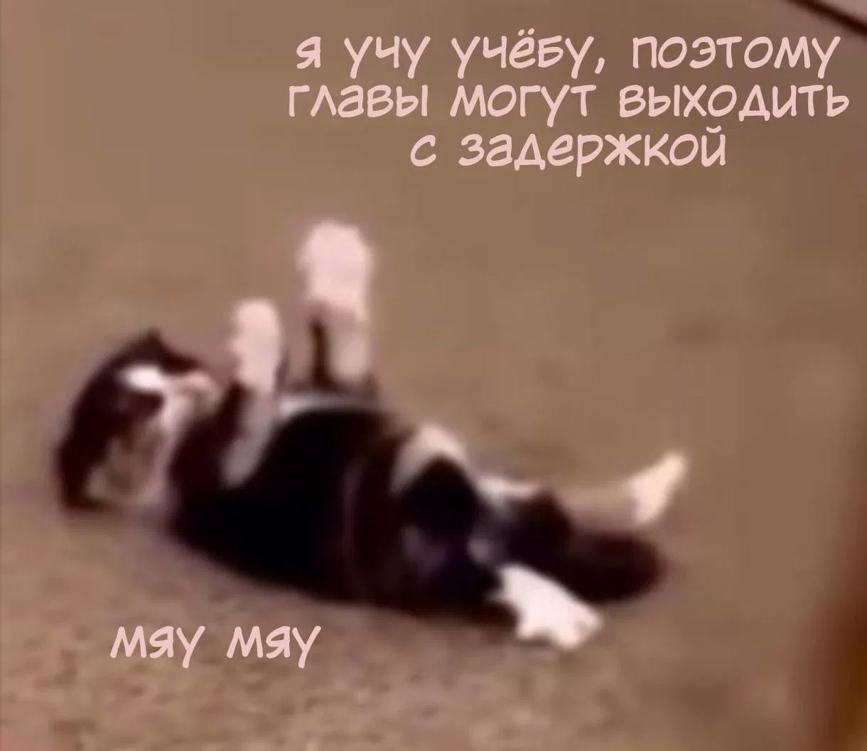 Манга Я скромняжка, любимый близнецами - Глава 8 Страница 24