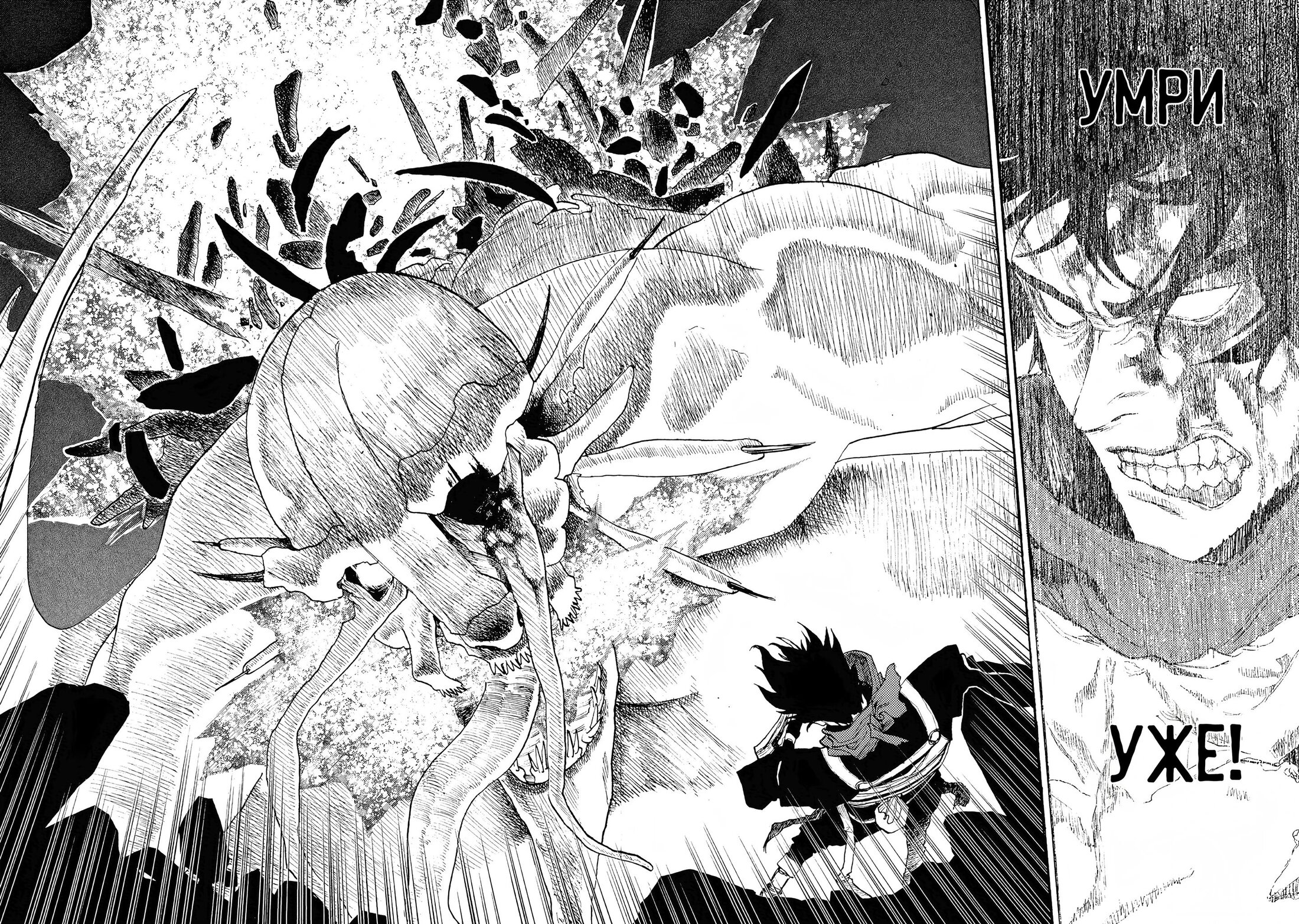 Манга Чего ты желаешь своим мутным взором? Записки Хайсеркской войны - Глава 24 Страница 10