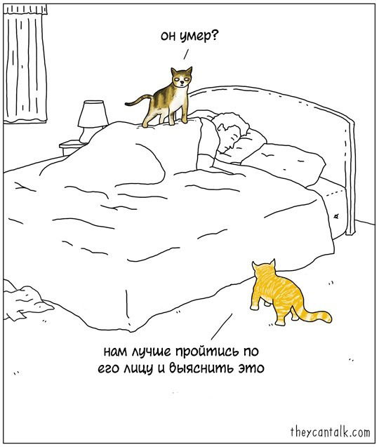 Манга Они могут говорить - Глава 21 Страница 1