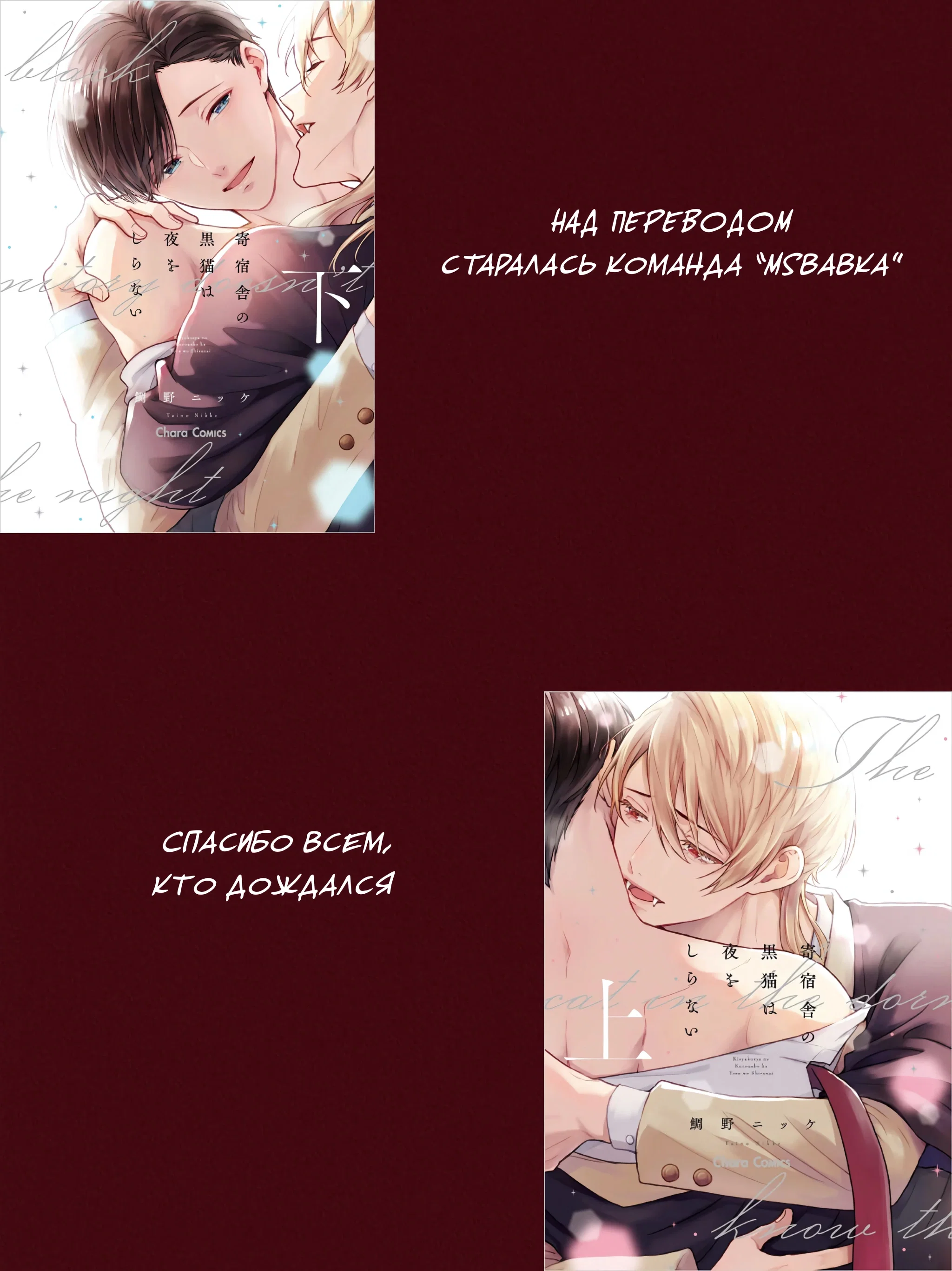 Манга Вампир и Черный кот - Глава 7 Страница 26