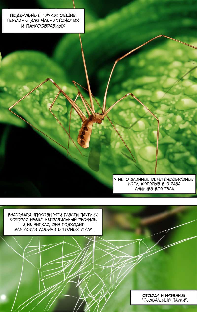 Манга Чун Шэн: Воскрешение - Глава 145 Страница 4