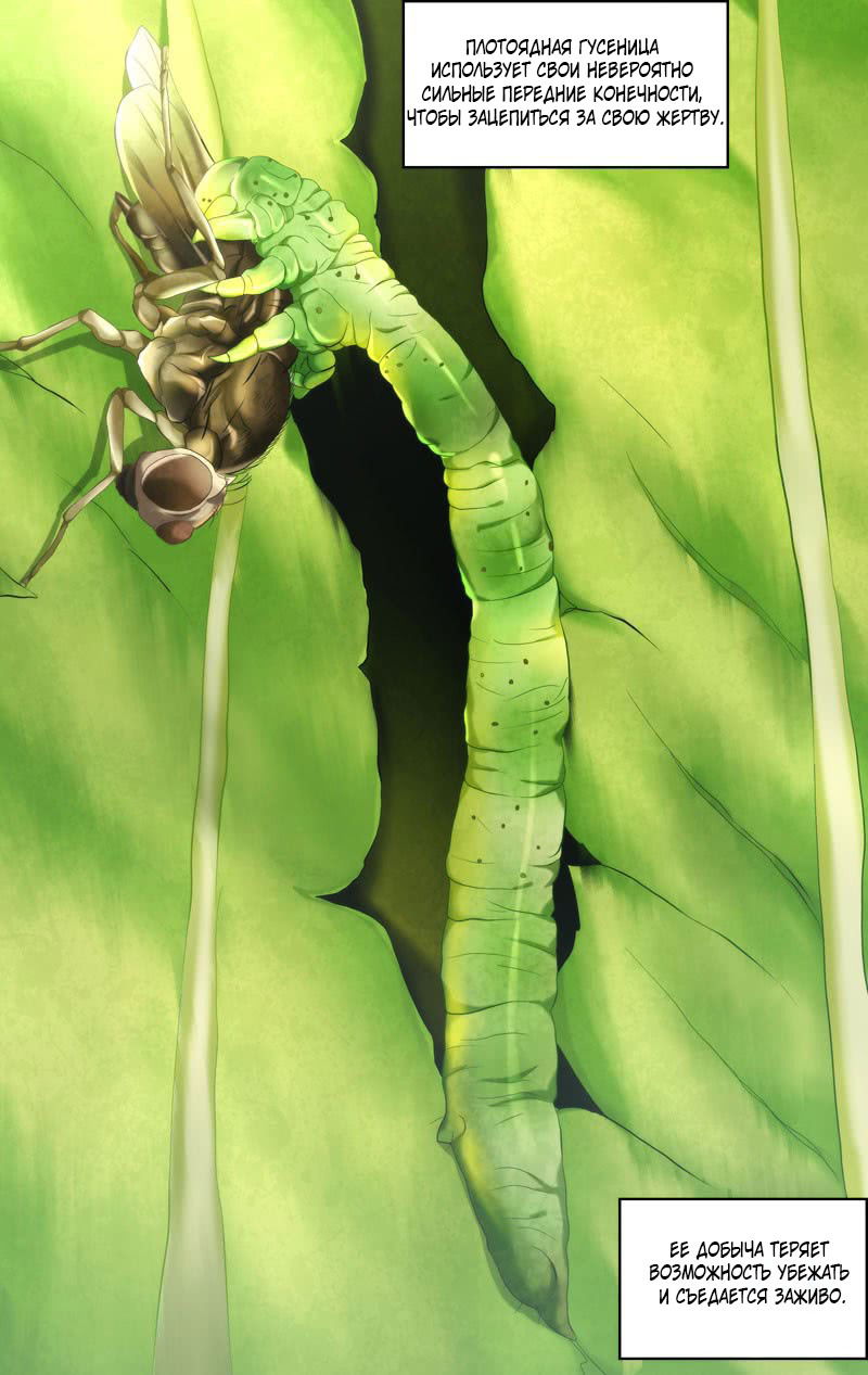 Манга Чун Шэн: Воскрешение - Глава 138 Страница 12