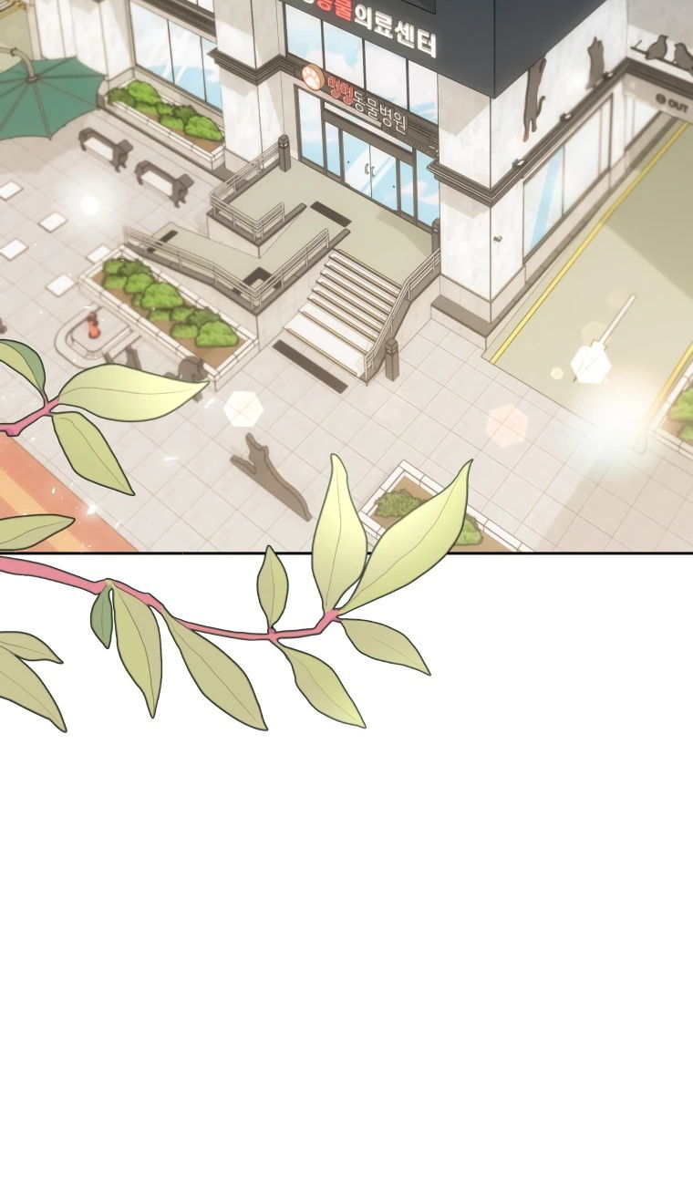 Манга Ветеринар! Привет? - Глава 51 Страница 68