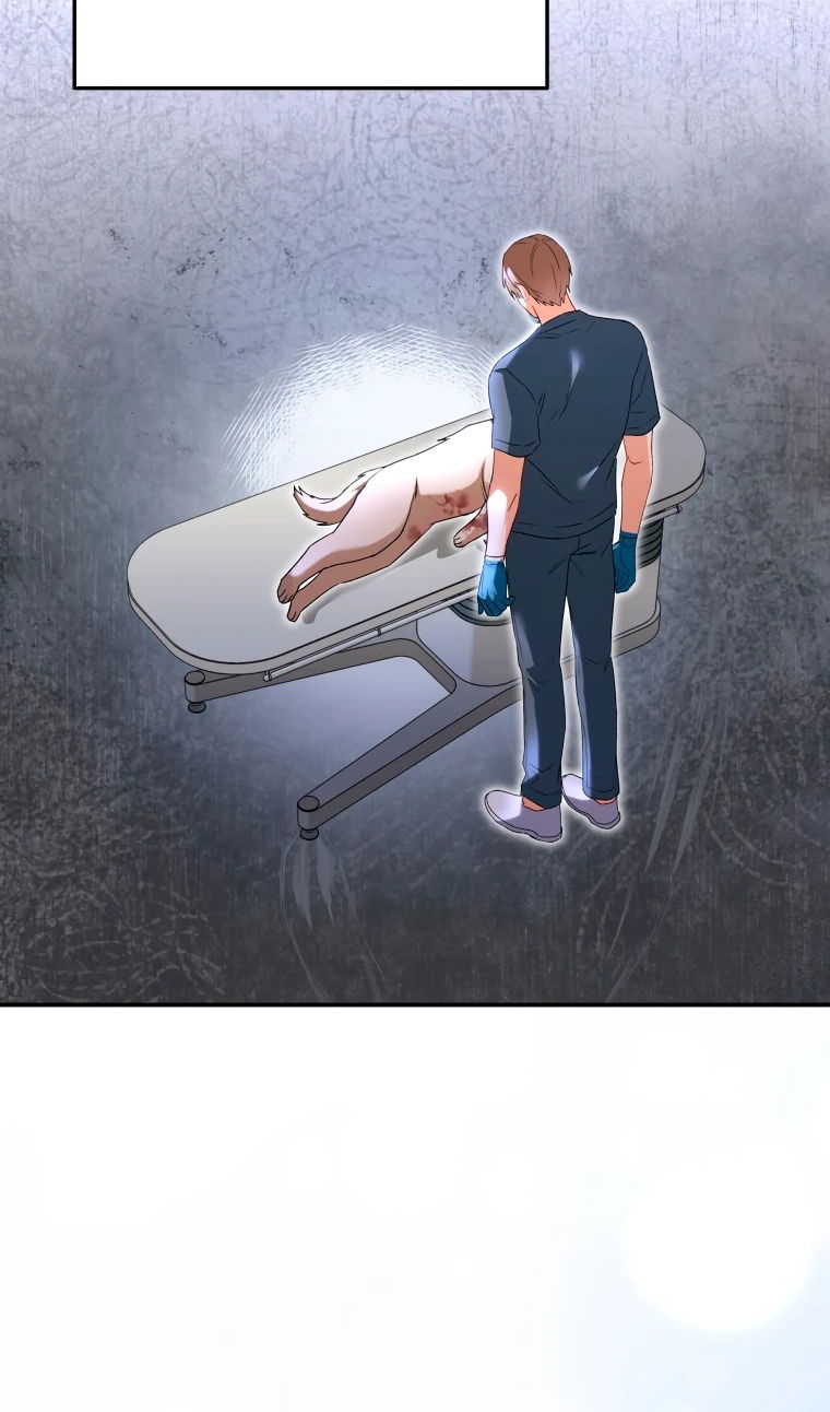 Манга Ветеринар! Привет? - Глава 51 Страница 17