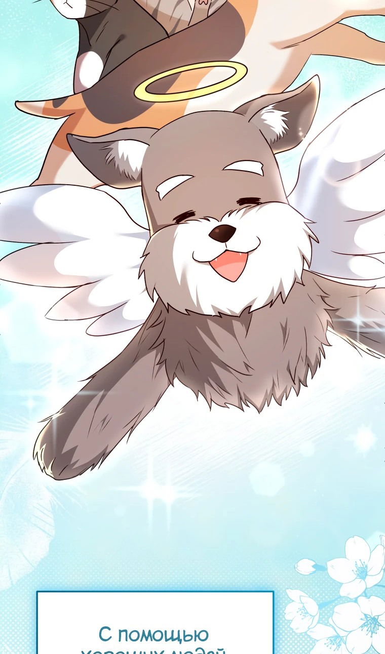 Манга Ветеринар! Привет? - Глава 51 Страница 19