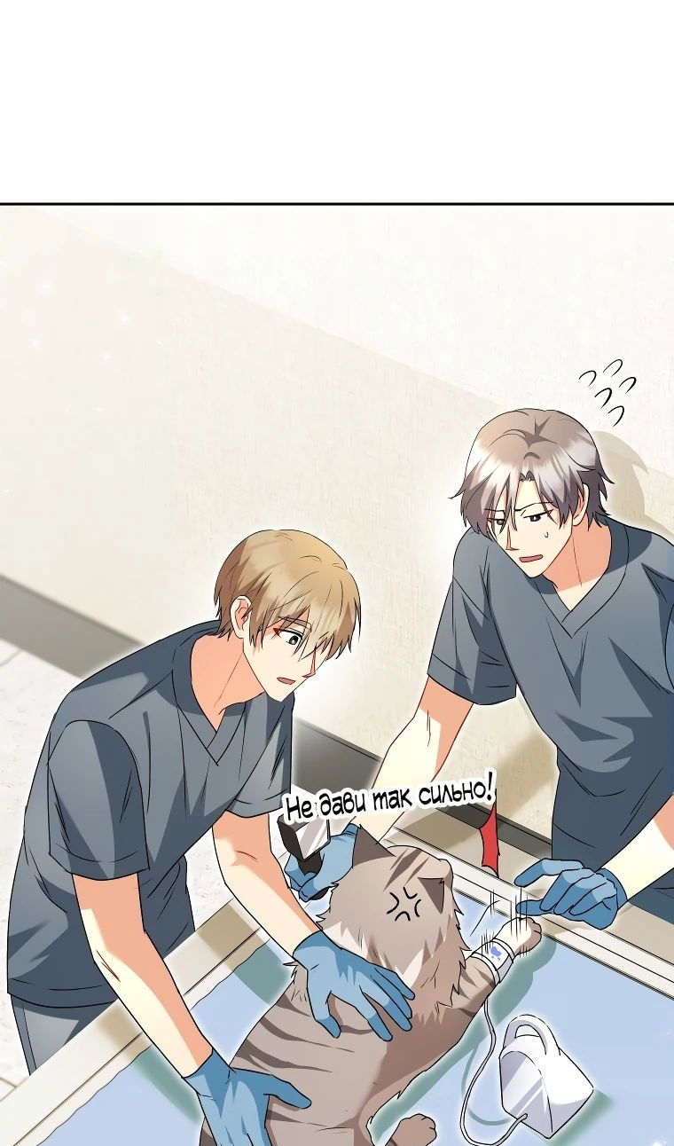 Манга Ветеринар! Привет? - Глава 52 Страница 23