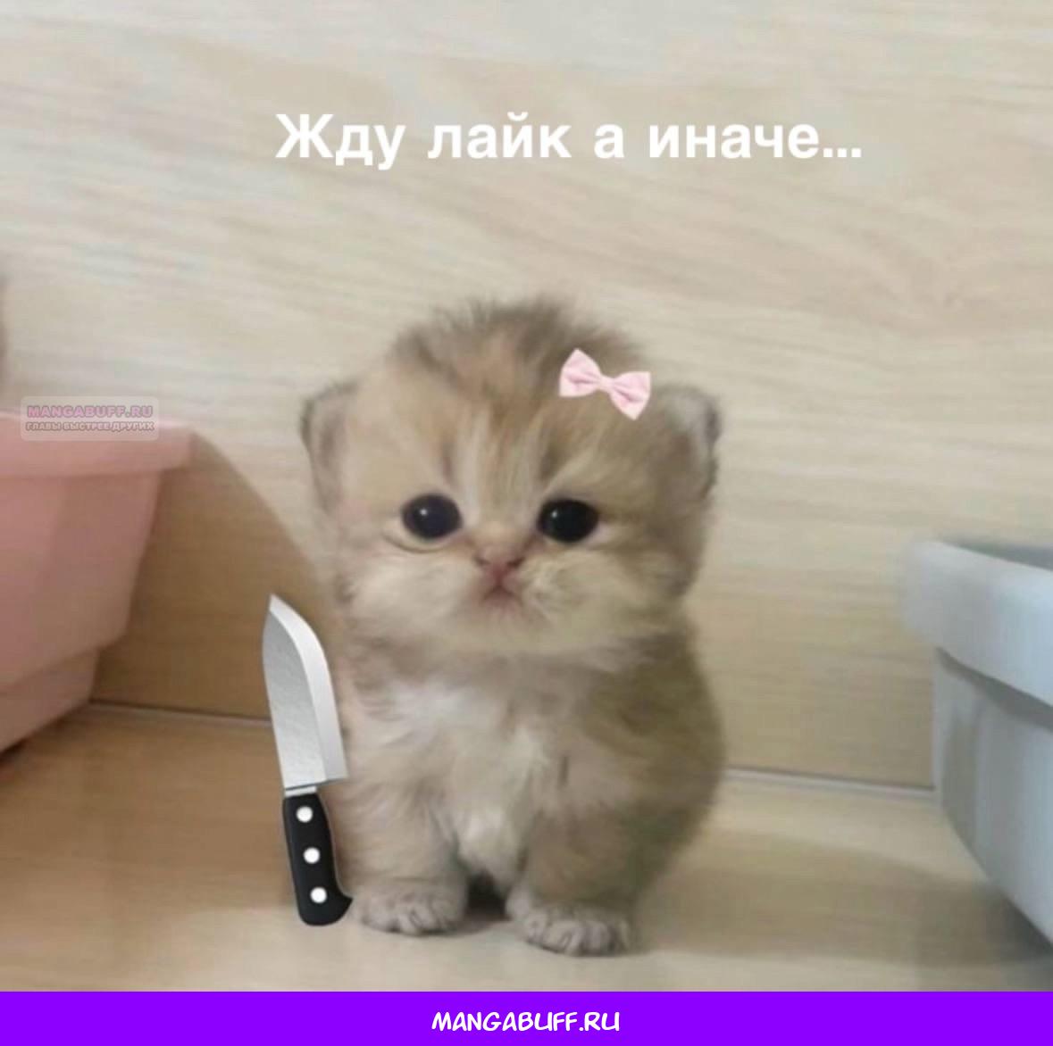 Манга Это всего лишь брак по контракту - Глава 69 Страница 66