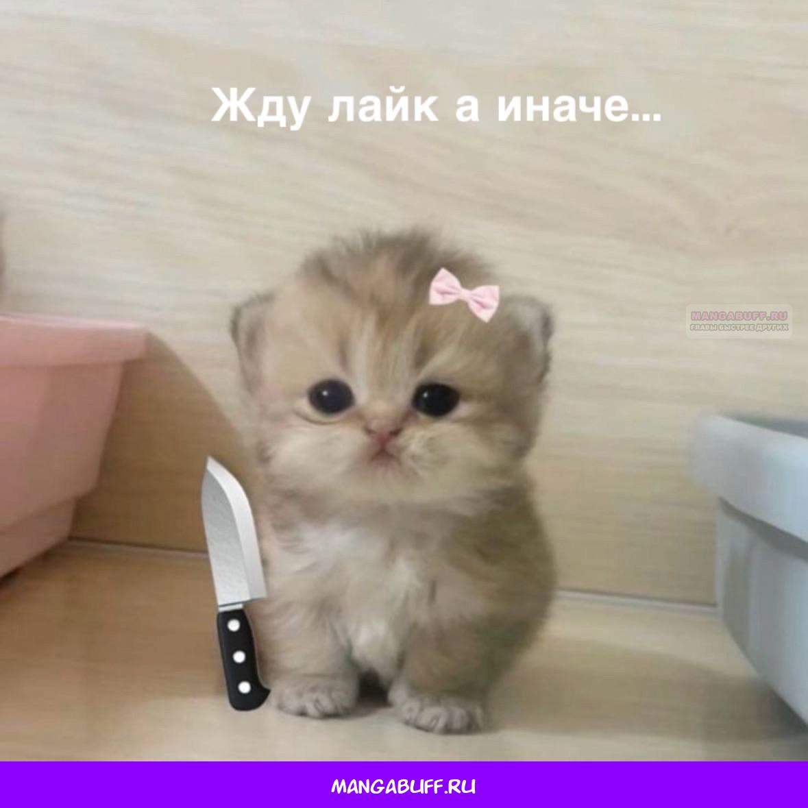 Манга Это всего лишь брак по контракту - Глава 67 Страница 59