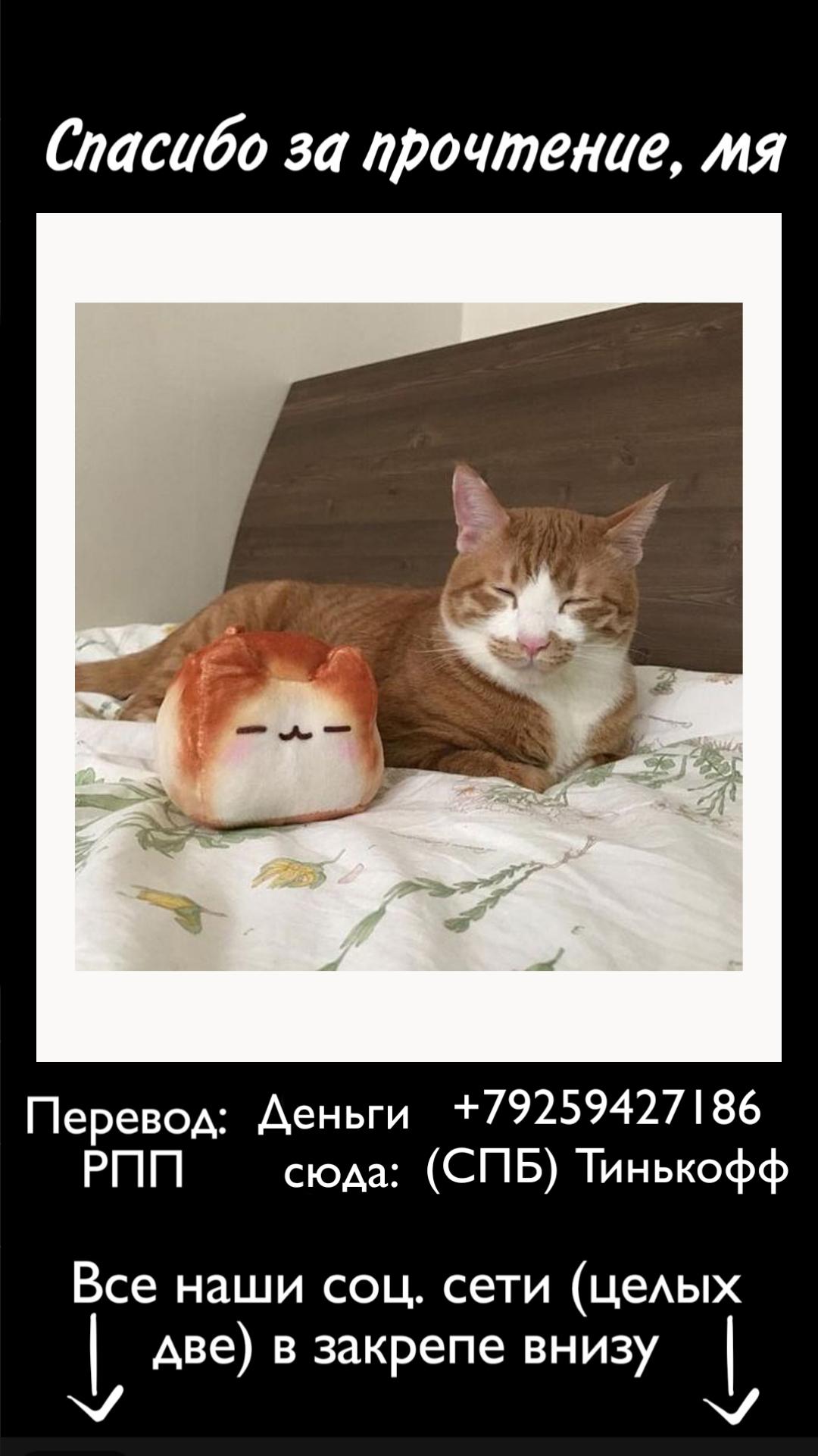 Манга Свобода - Глава 31 Страница 6