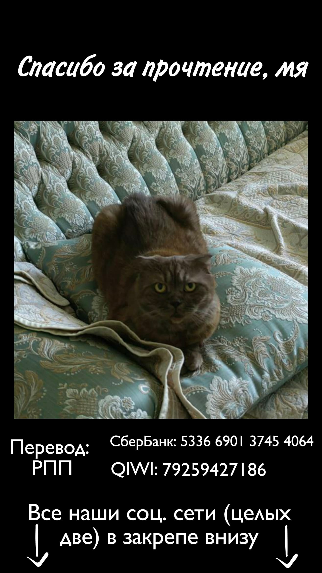 Манга Свобода - Глава 27 Страница 5