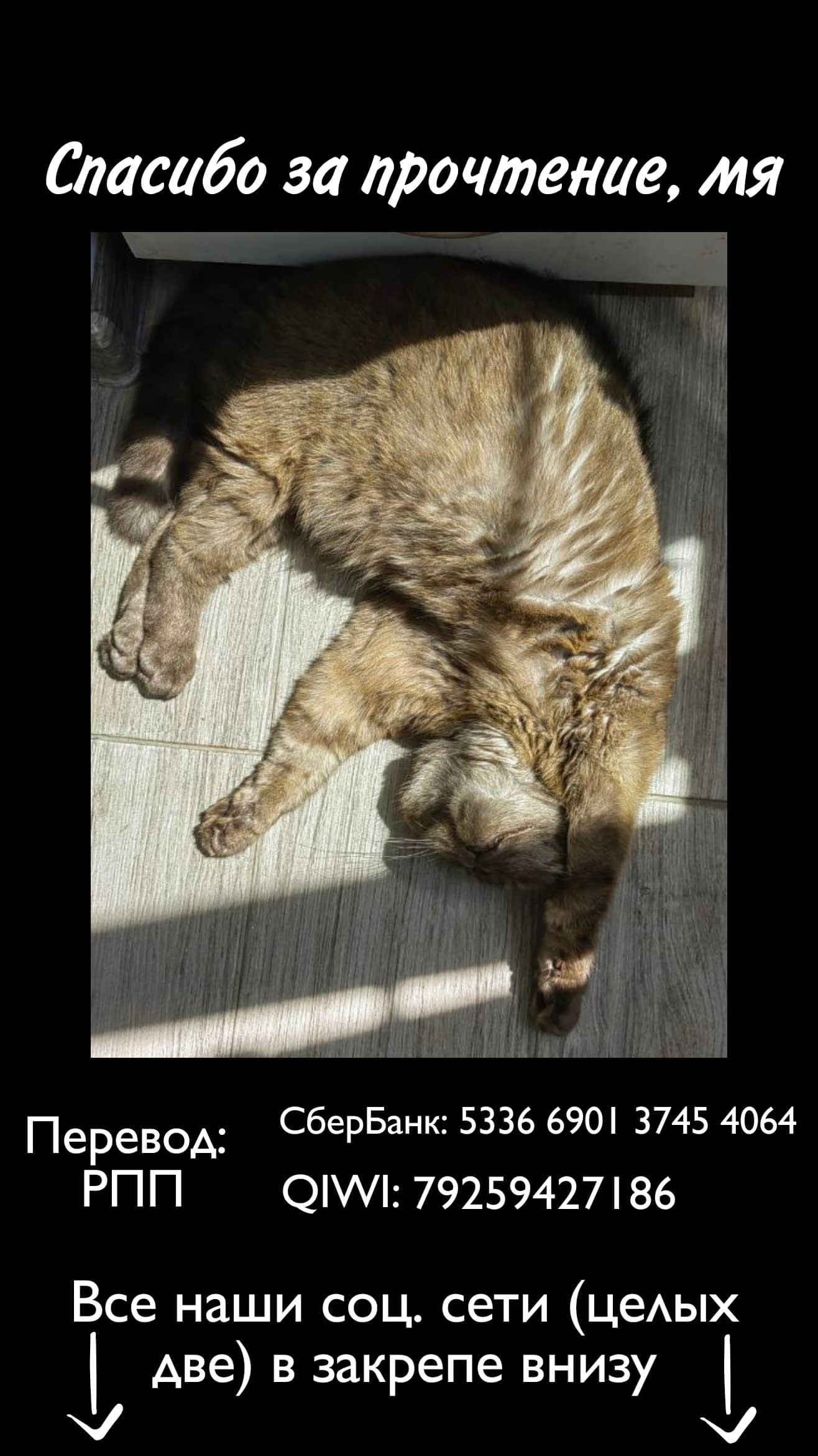 Манга Свобода - Глава 25 Страница 9