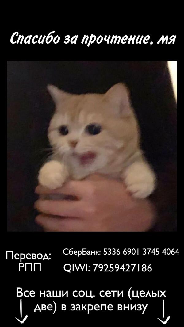 Манга Свобода - Глава 23 Страница 5