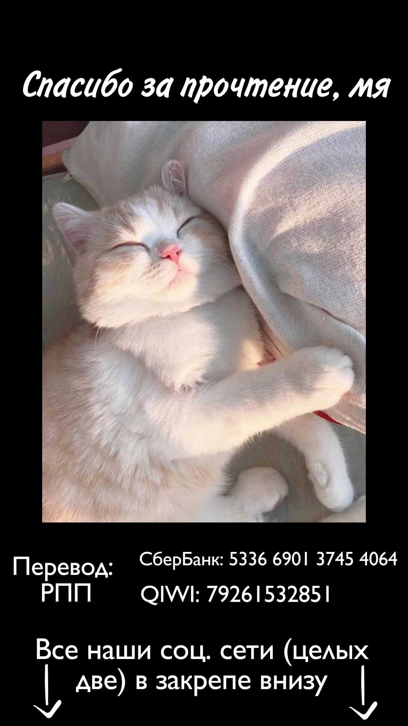 Манга Свобода - Глава 17 Страница 5