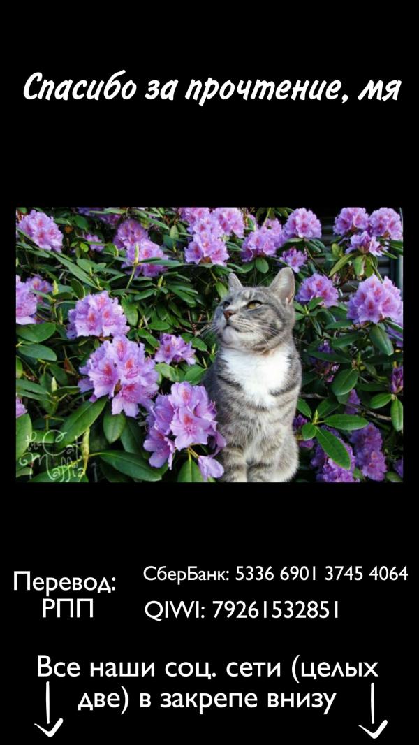 Манга Свобода - Глава 16 Страница 5