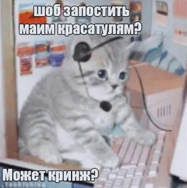 Манга Высокородные Гомосексуалы - Глава 96 Страница 11