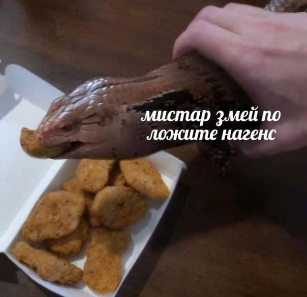Манга Высокородные Гомосексуалы - Глава 78 Страница 9