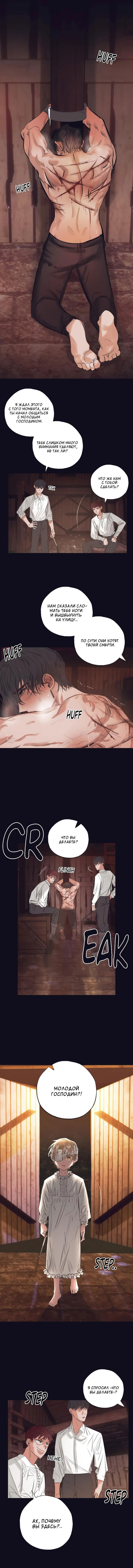 Манга Сад Эстера - Глава 3 Страница 12