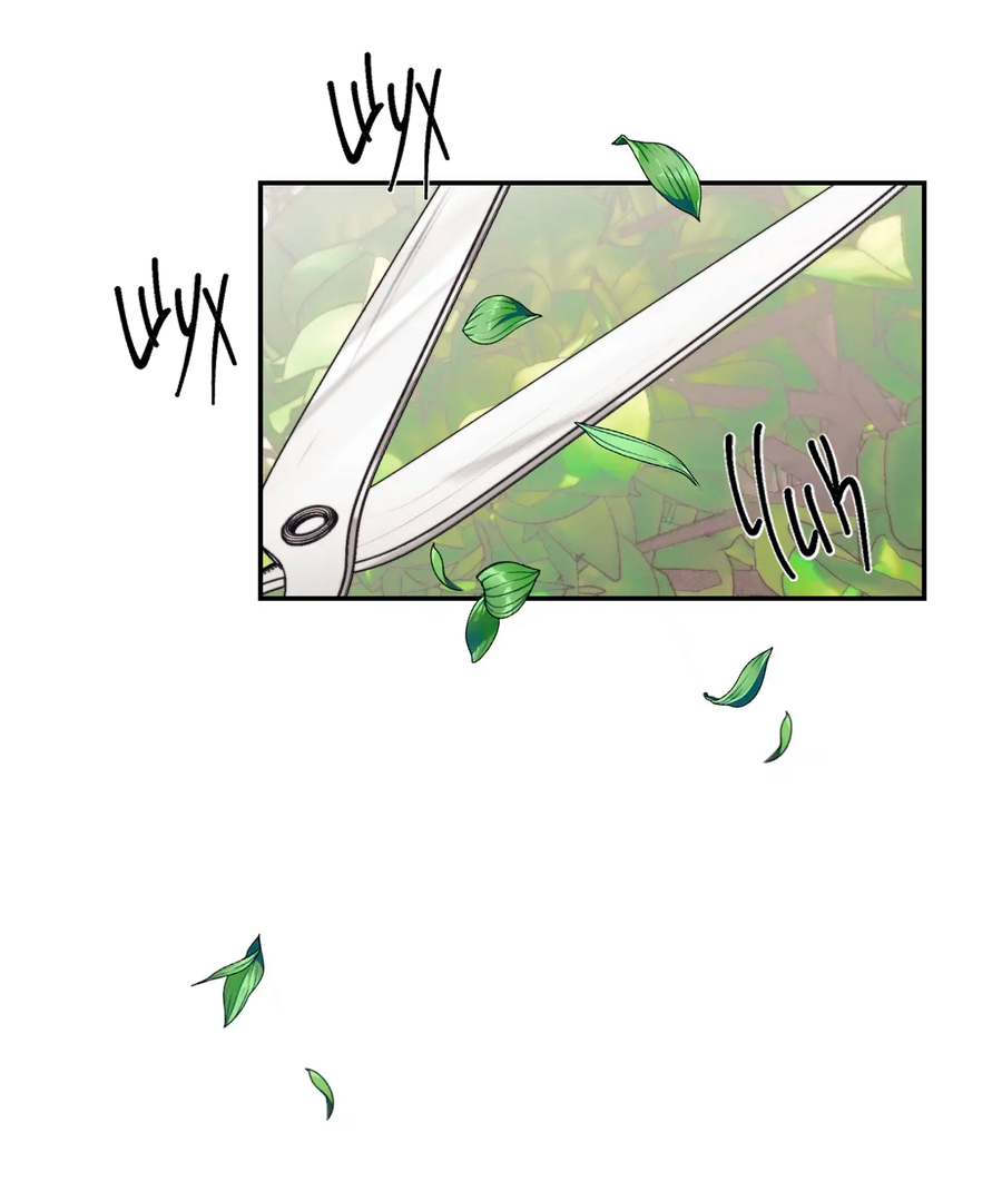 Манга Сад Эстера - Глава 1 Страница 13