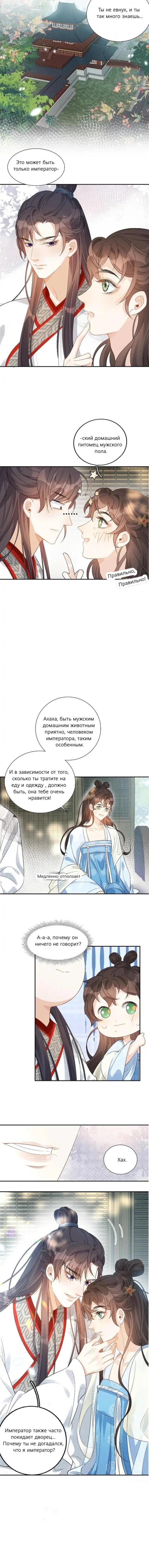 Манга Император — извращенец! - Глава 11 Страница 5