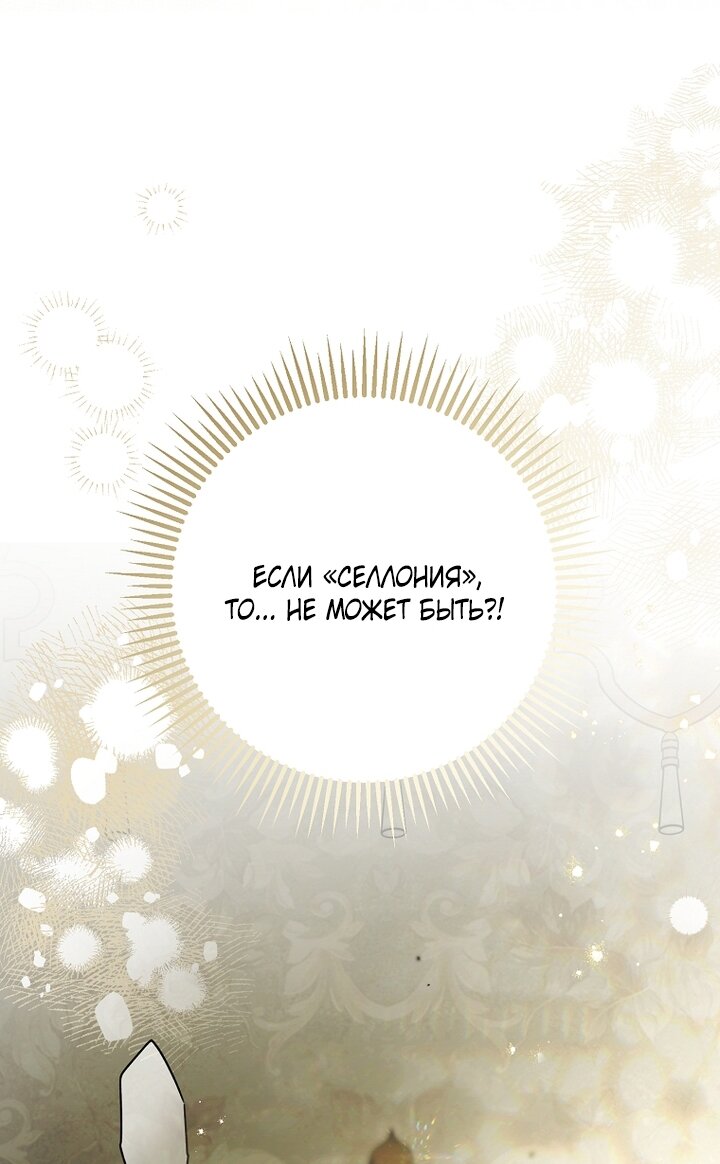 Манга Главные герои были украдены статисткой - Глава 72 Страница 93