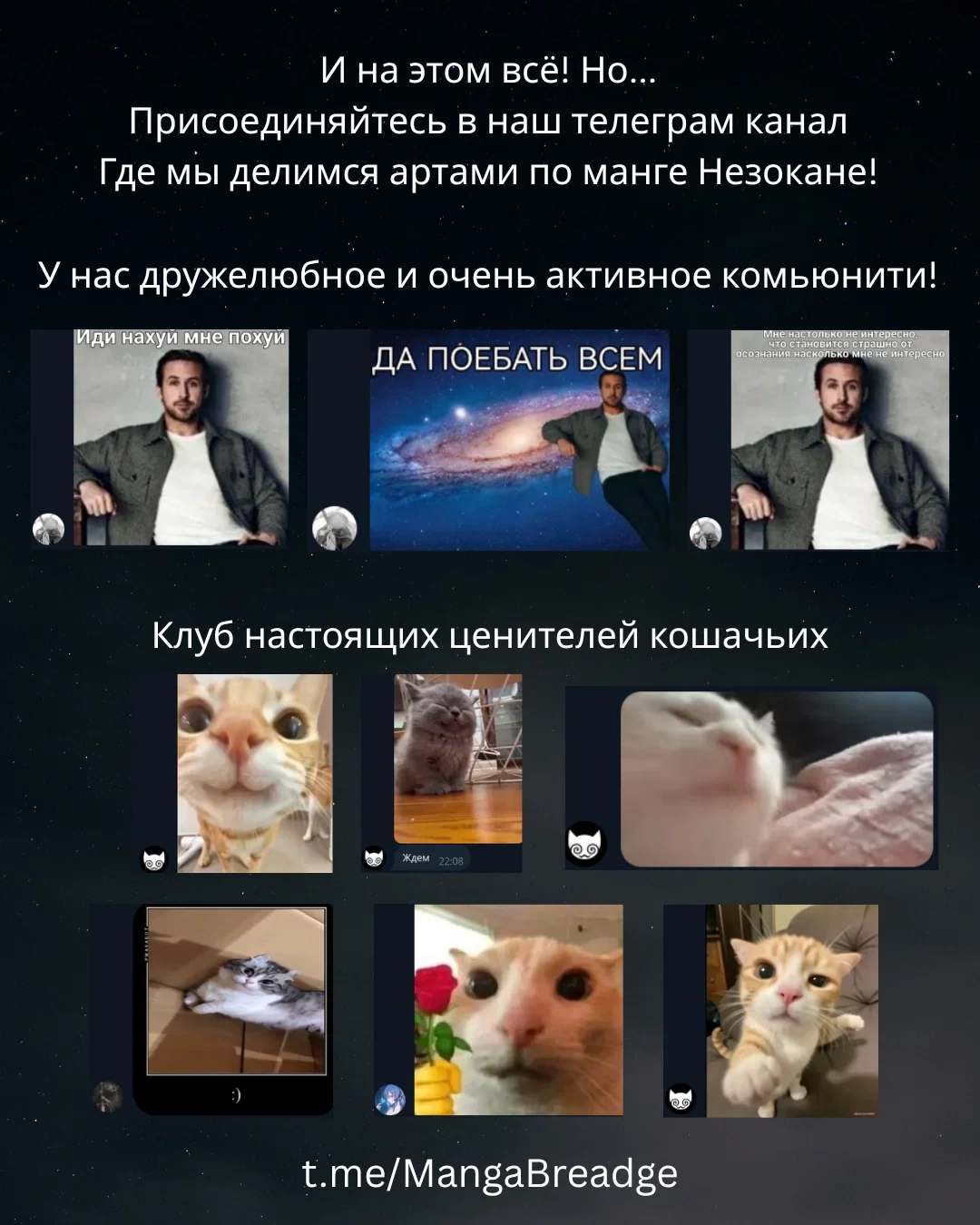 Манга Кошка по соседству, которая не знает о любви. - Глава 30 Страница 32