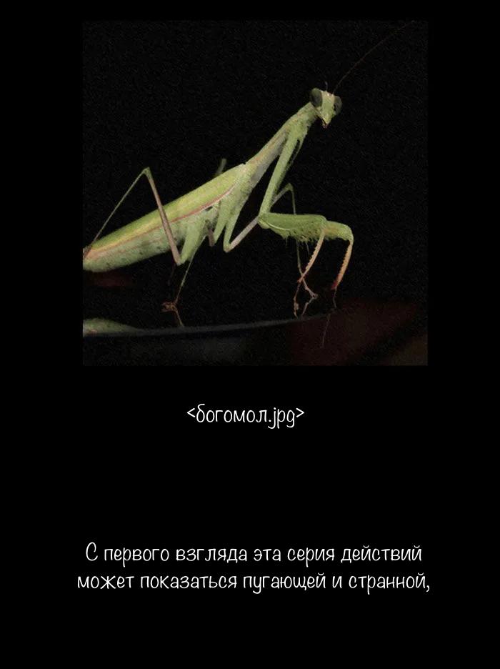 Манга Пятница: Время страшных историй - Глава 80 Страница 39