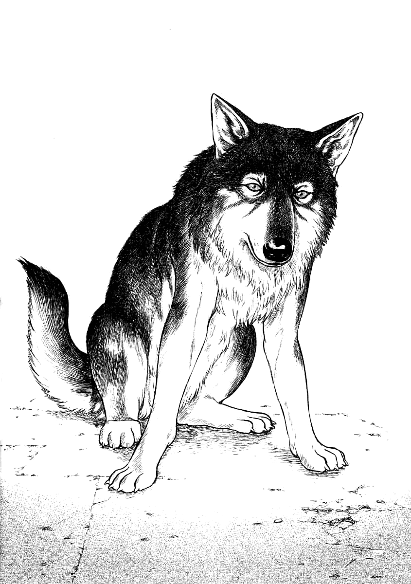 Манга Инугами - Глава 71 Страница 18