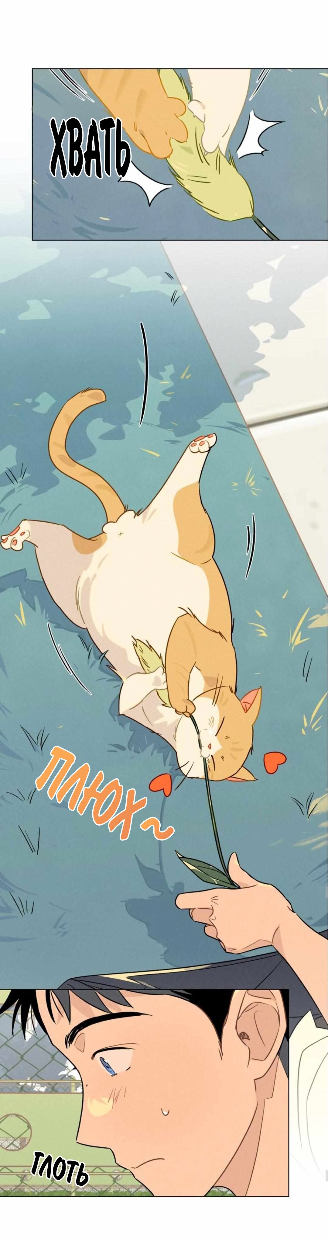 Манга 30 минут до твоего признания - Глава 20 Страница 31