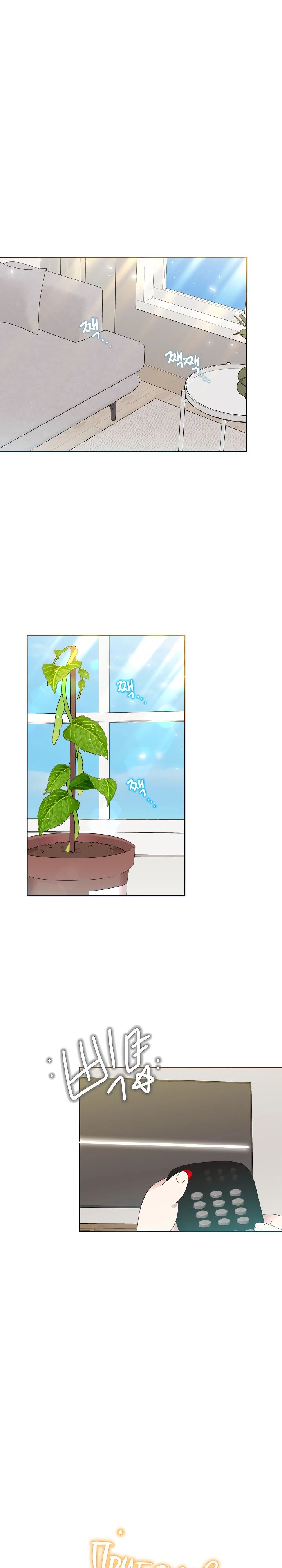 Манга Брат, я милашка? - Глава 78 Страница 1