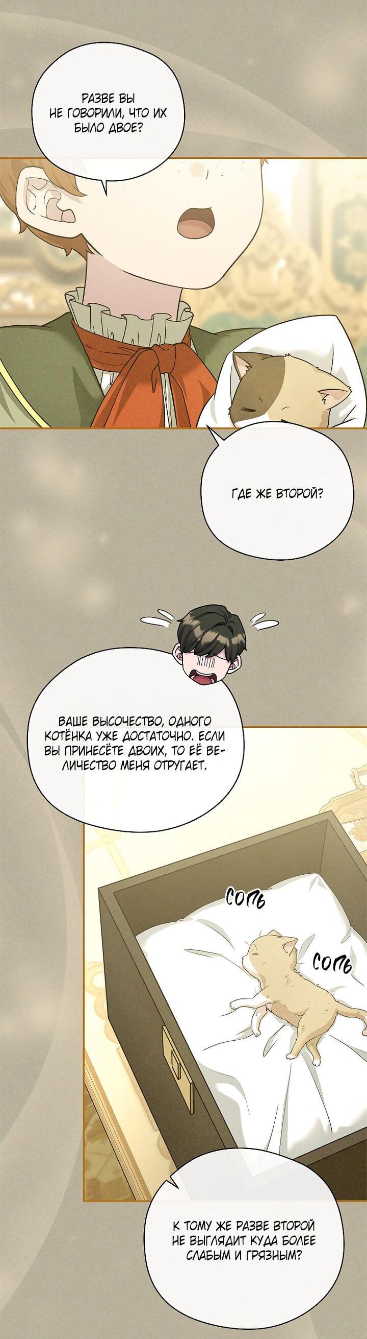 Манга На заднем дворе расцвели фиалки - Глава 55 Страница 47