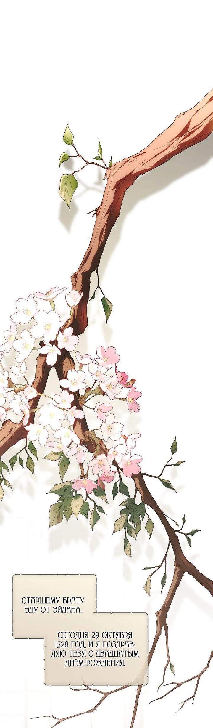 Манга На заднем дворе расцвели фиалки - Глава 63 Страница 43