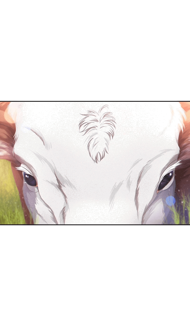 Манга К.О! (Цветная версия) - Глава 46 Страница 5