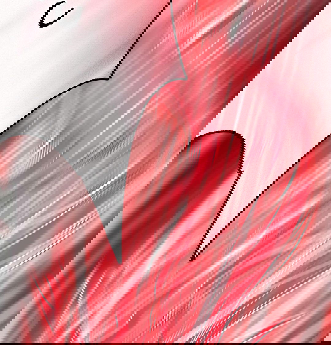 Манга Я - потомок Божественного Дракона! - Глава 34 Страница 14