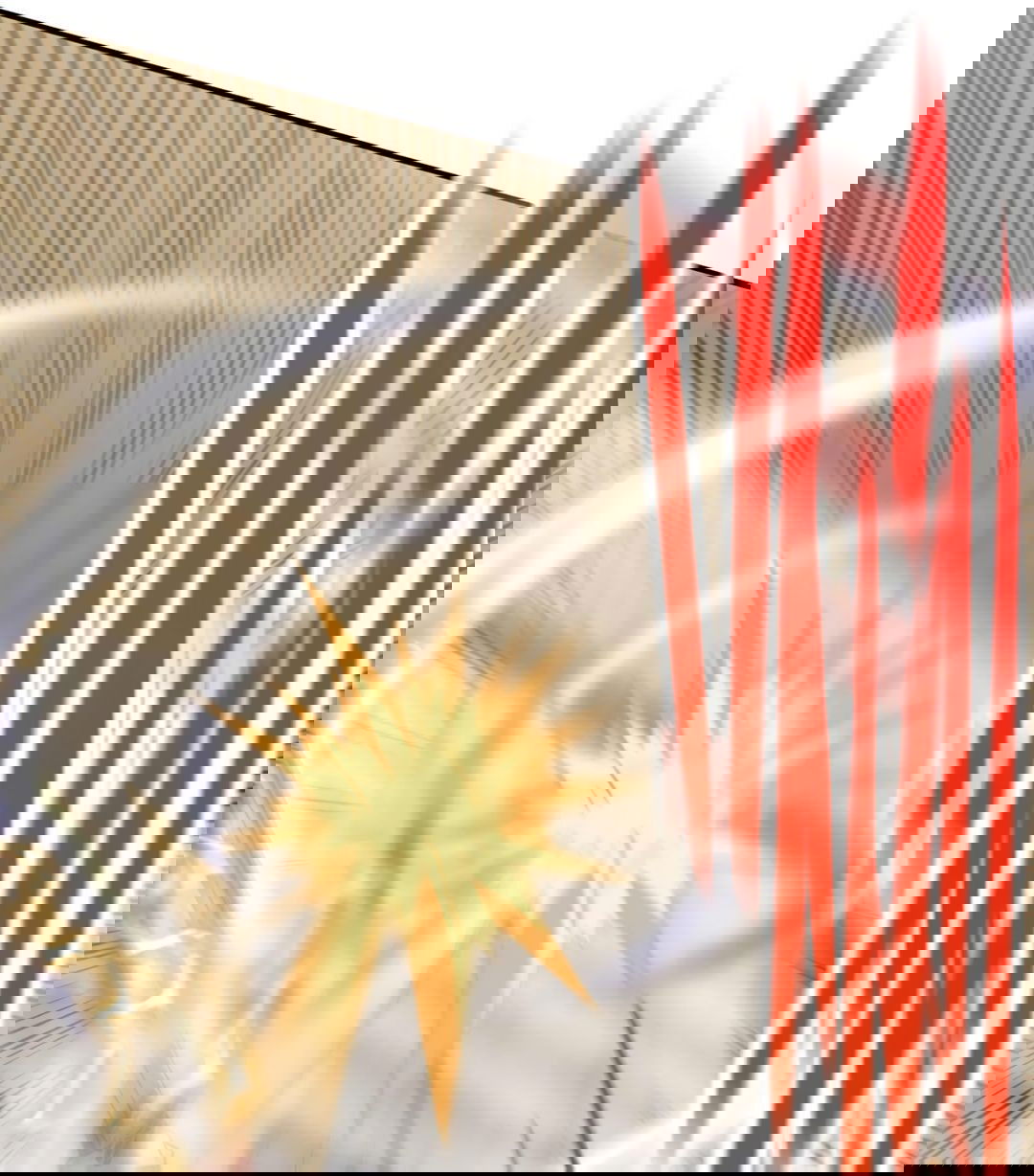 Манга Я - потомок Божественного Дракона! - Глава 27 Страница 28