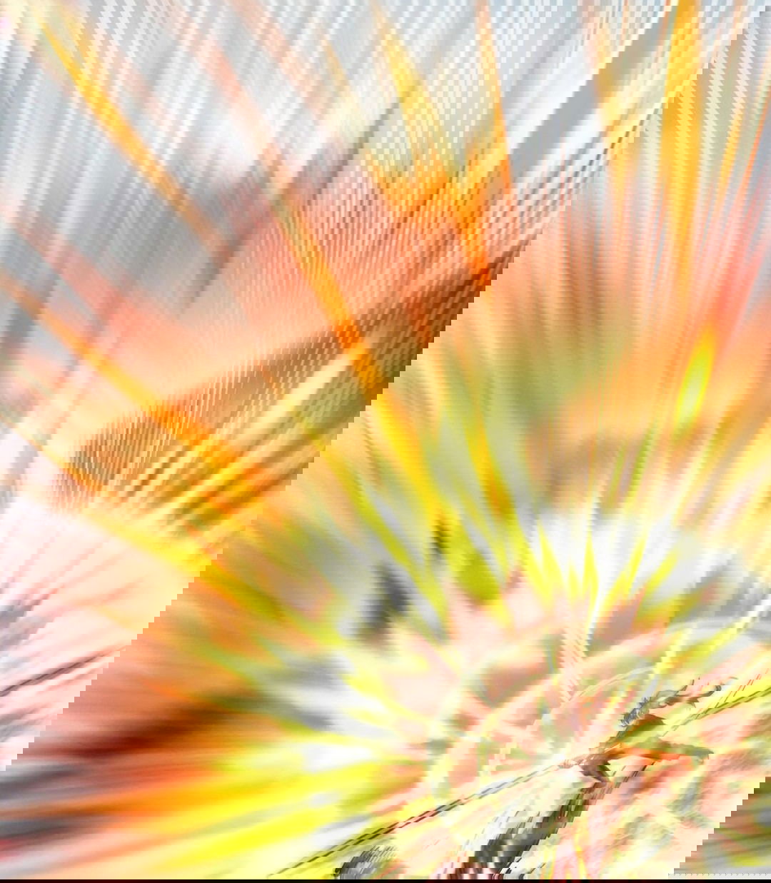 Манга Я - потомок Божественного Дракона! - Глава 23 Страница 21