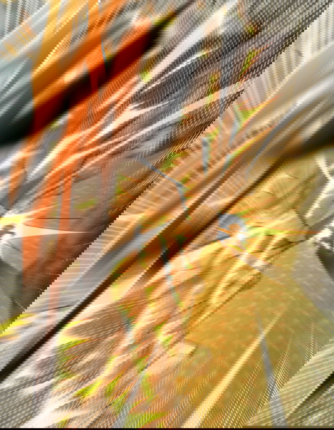 Манга Я - потомок Божественного Дракона! - Глава 18 Страница 50