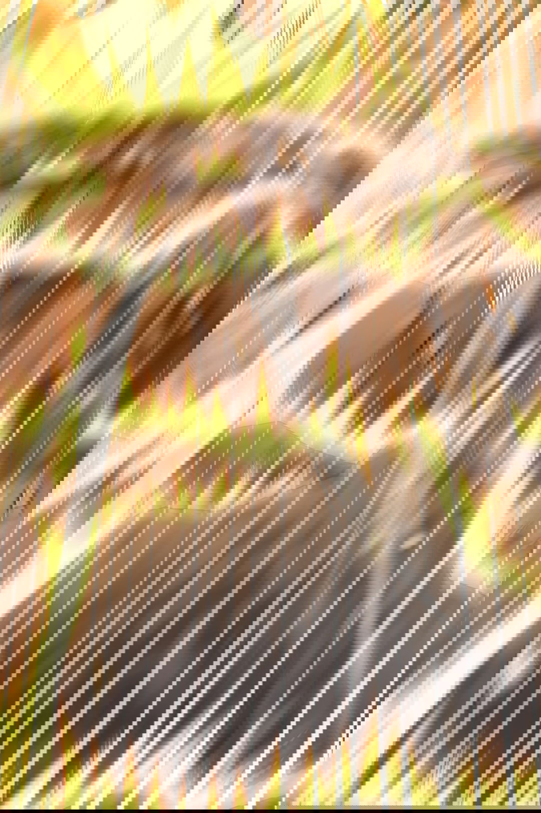 Манга Я - потомок Божественного Дракона! - Глава 18 Страница 48