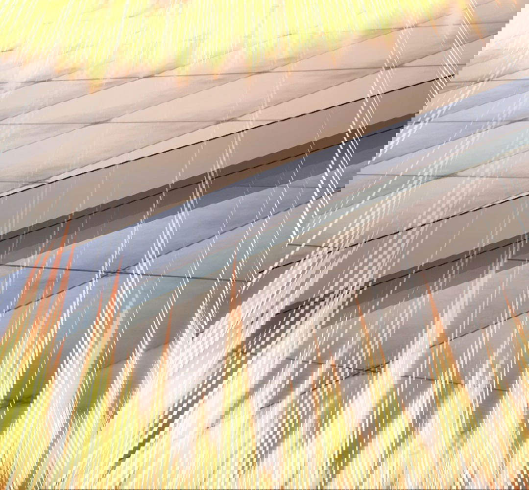 Манга Я - потомок Божественного Дракона! - Глава 18 Страница 38