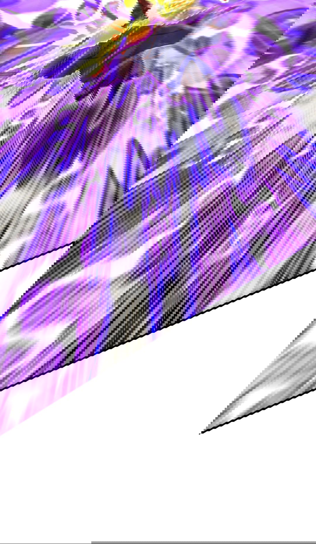 Манга Я - потомок Божественного Дракона! - Глава 54 Страница 17