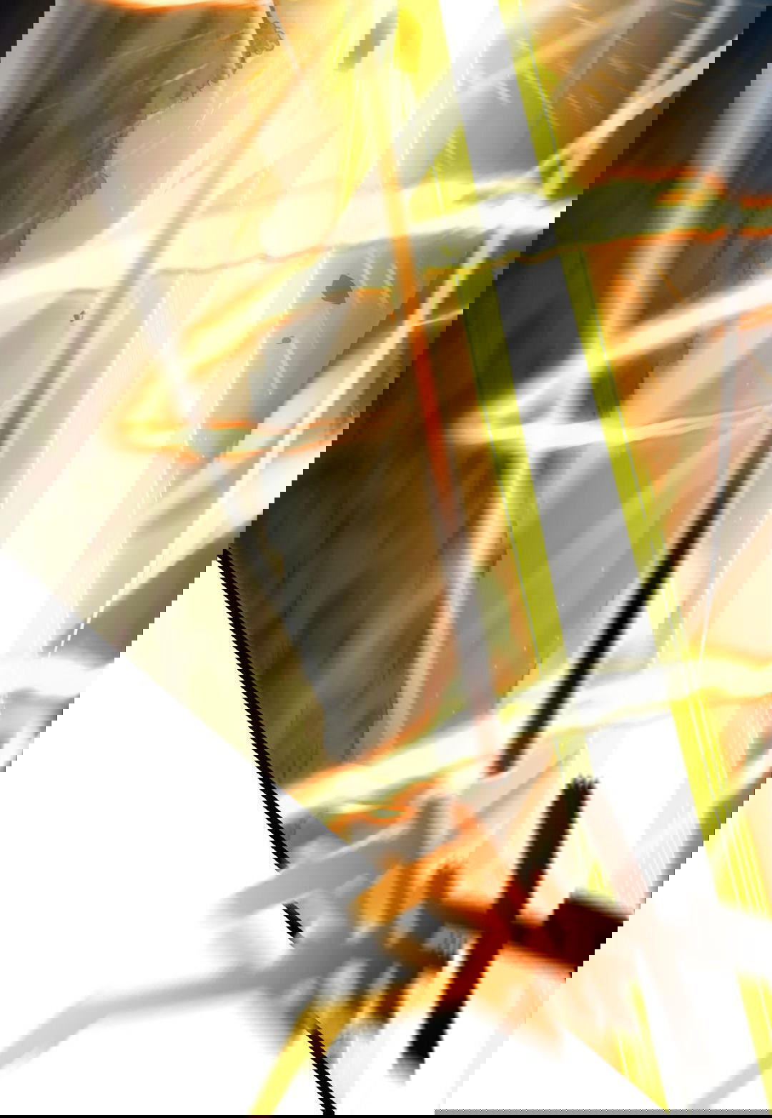 Манга Я - потомок Божественного Дракона! - Глава 50 Страница 23