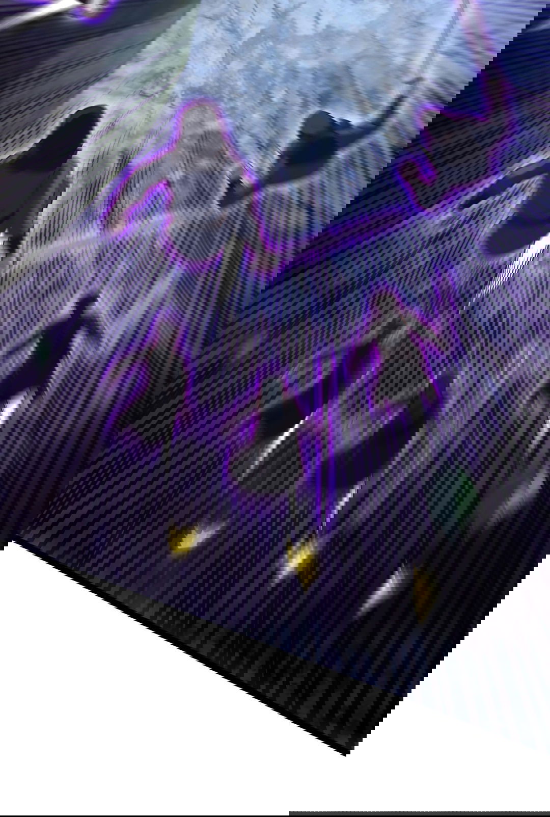 Манга Я - потомок Божественного Дракона! - Глава 37 Страница 21