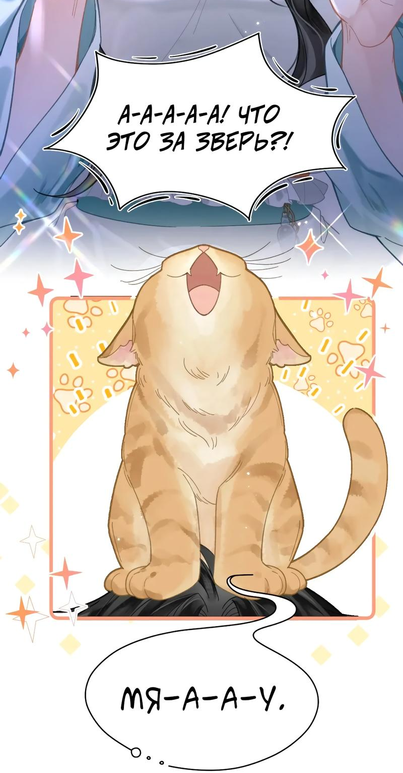 Манга Найти красавицу в глубинах Восточно-Китайского моря - Глава 17 Страница 11